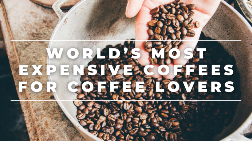 World's Most Expensive Coffees For Coffee Lovers