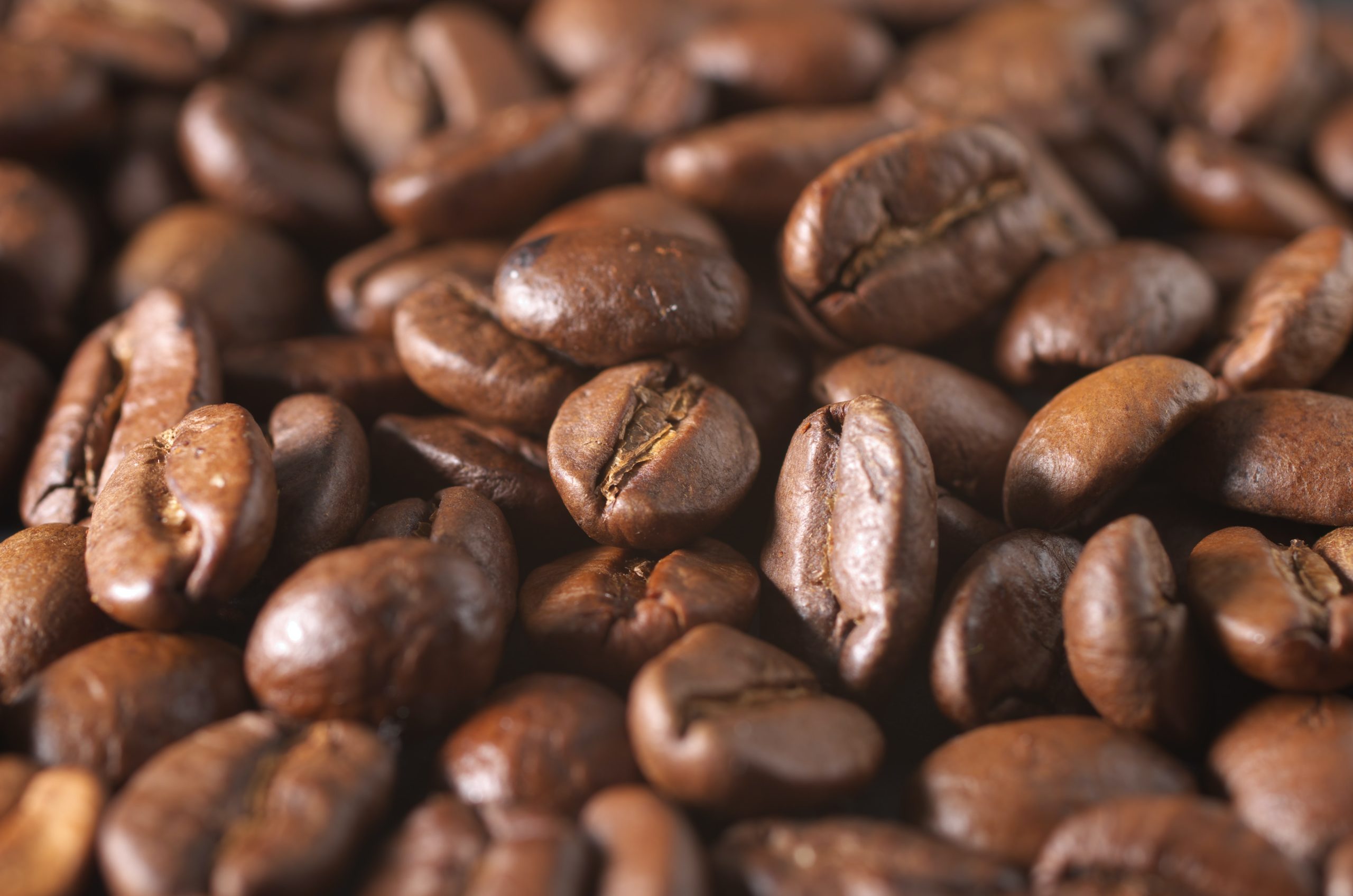 Types of Coffee That Have The Most Caffeine Introduction 1