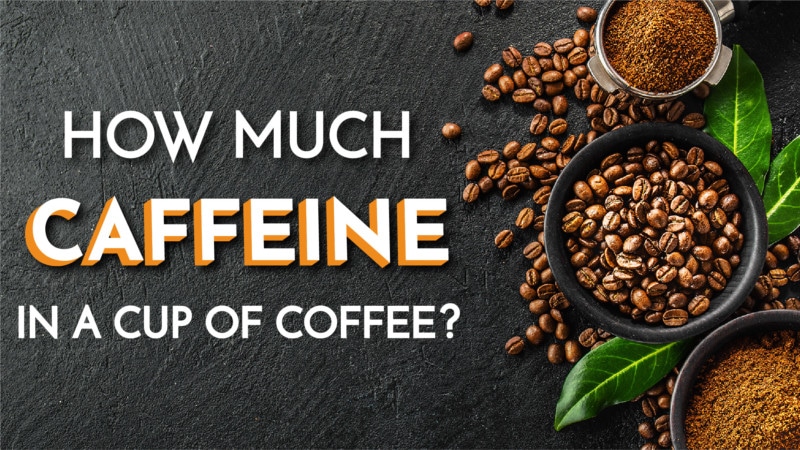 How Much Caffeine in A Cup of Coffee