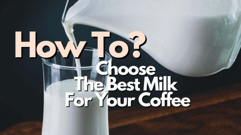 How to choose the best milk for your coffee
