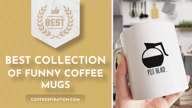Best Collection of Funny Coffee Mugs To Gift Your Loved Ones In 2023