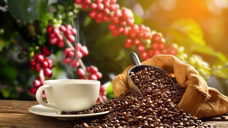 9 Powerful Ways That Coffee Impacts The World intro