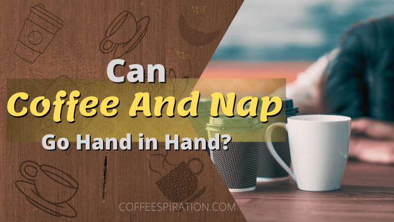 Can Coffee And Nap Go Hand in Hand