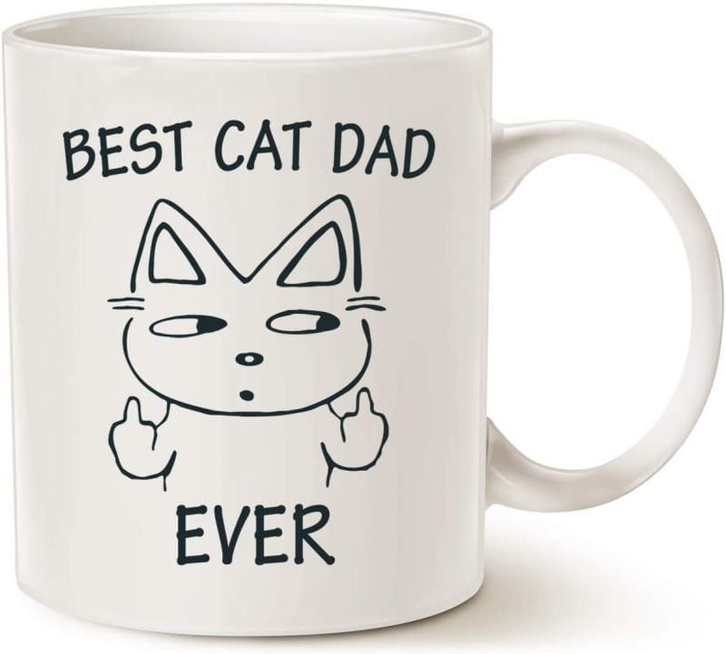 15. MAUAG Cat Dad Coffee Mug for Cat Lovers