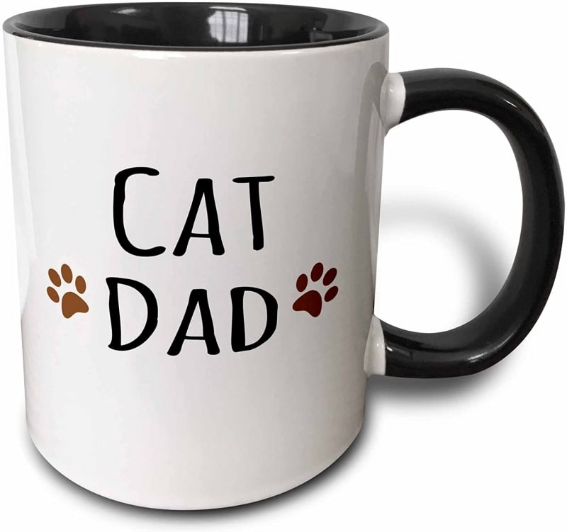 14.  3dRose Cat dad Mug