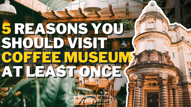 5 Reasons You Should Visit Coffee Museum At Least Once
