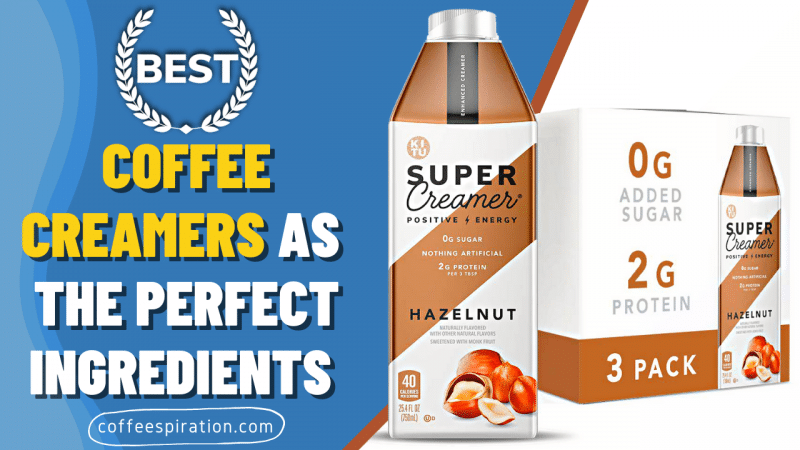 Best Coffee Creamers As The Perfect Ingredients in 2023