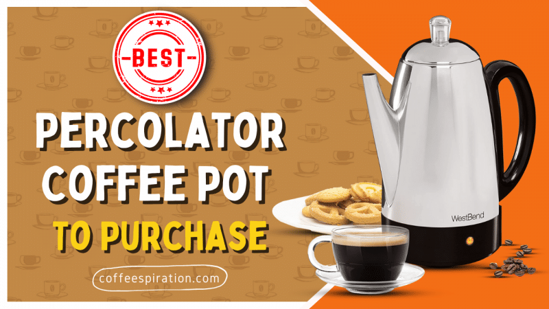 Best Percolator Coffee Pot To Purchase in 2023