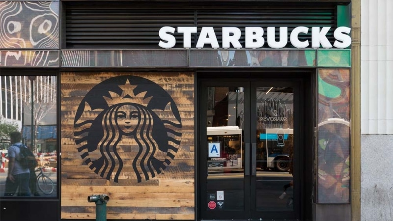 Job and Salary Hunting in the Starbuck? Here Are Our Top Tips Introduction