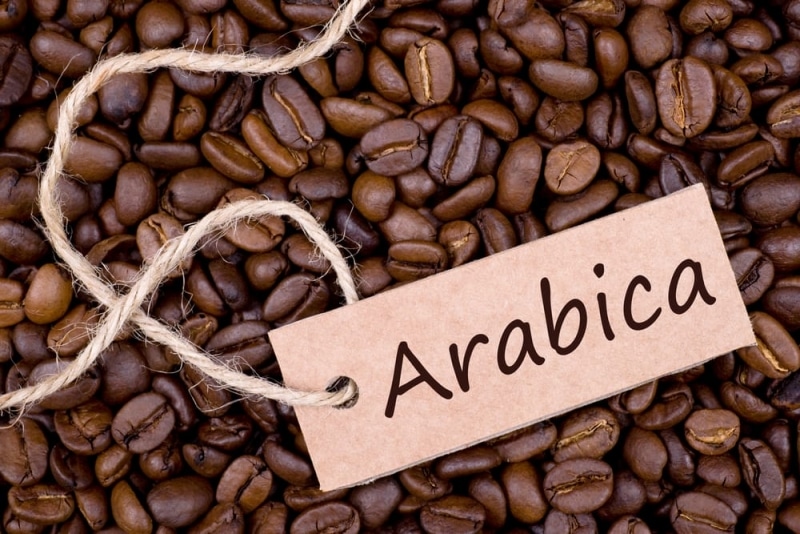 Coffea Arabica (~60–70% of the coffee market) 