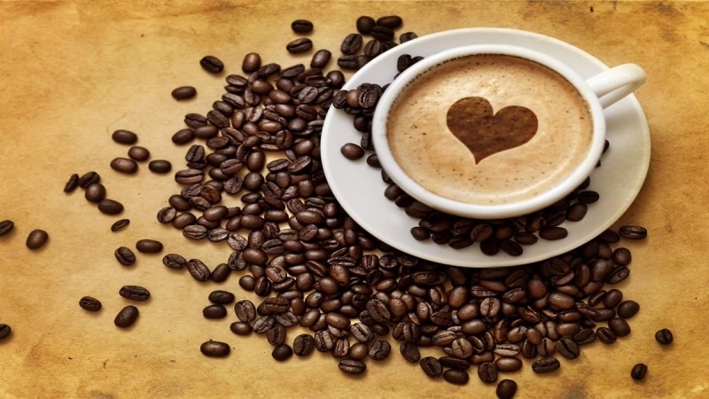 6. The True Coffee Lovers