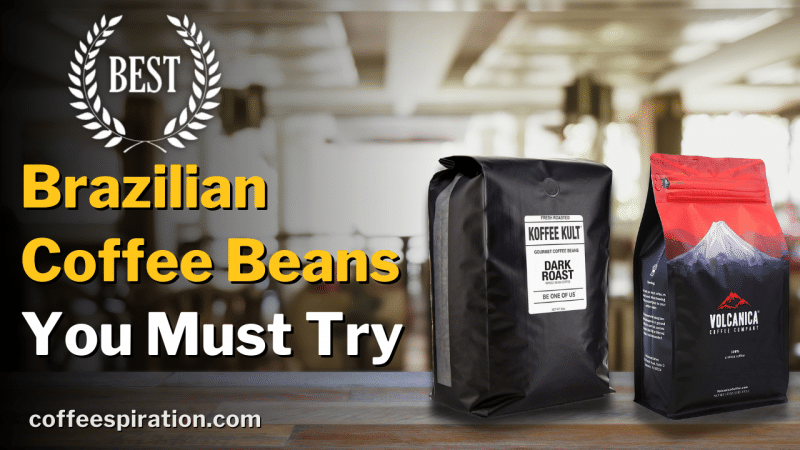 Best Brazilian Coffee Beans You Must Try in 2023