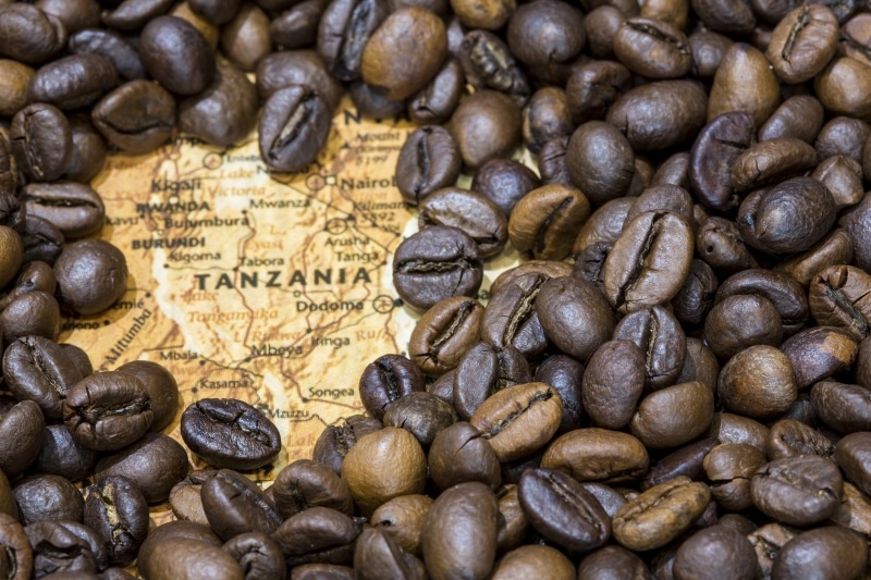 Second Myth: a Peaberry coffee bean only comes  from Tanzania 