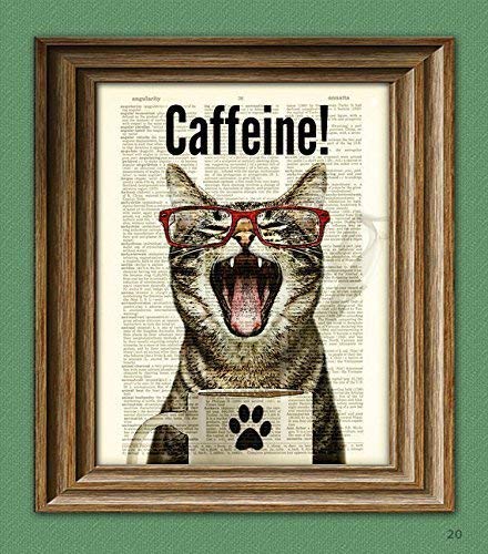 3. Caffeine Cat Illustration Book Print 