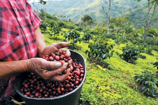 What is Fair Trade Coffee?