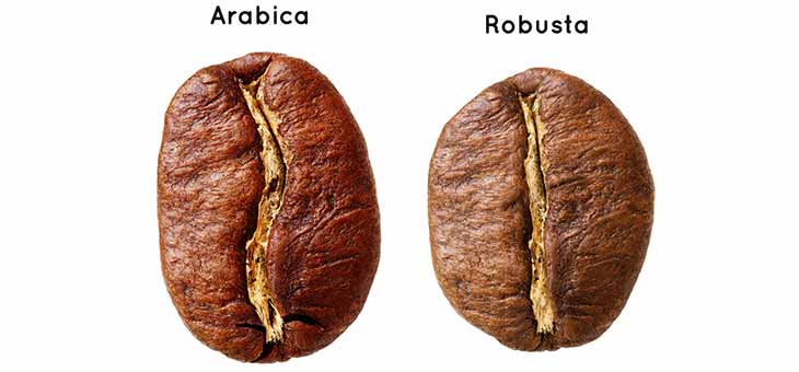 What’s the difference between Arabica and Robusta coffee?