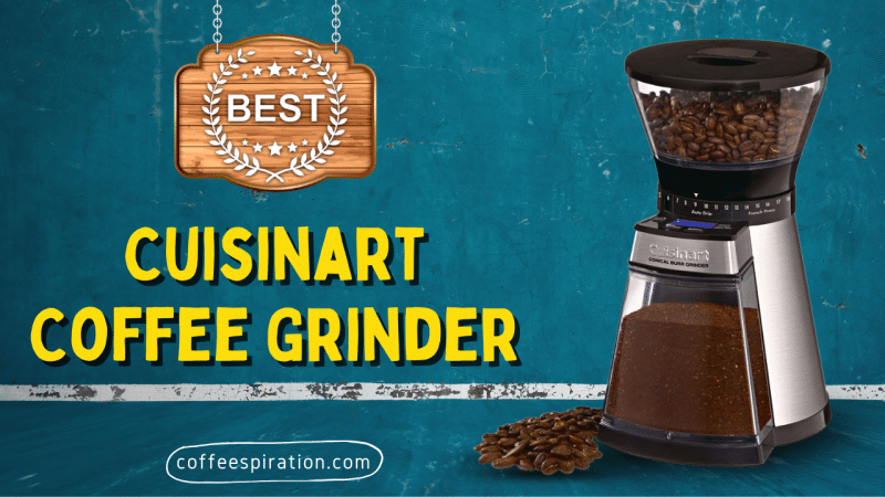 Best Cuisinart Coffee Grinder in 2023